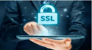Significance of SSL in SEO