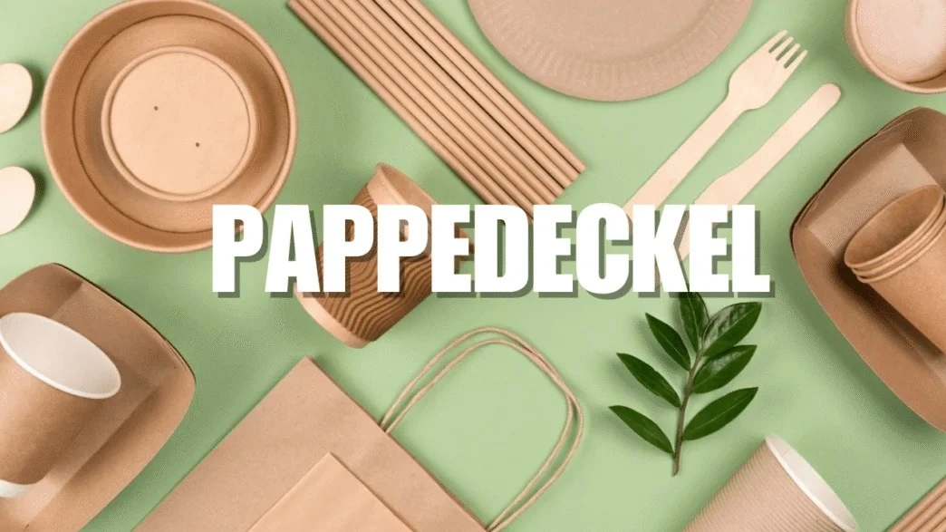 Pappedeckel SEO