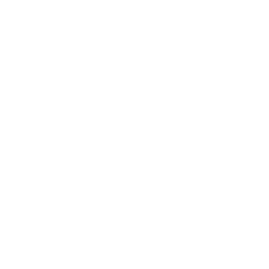 Self Storage Insurance Australia (SSIA) logo for specialized storage facility insurance