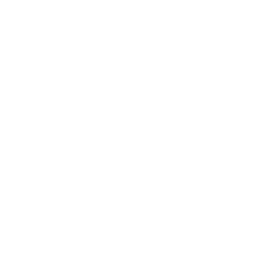 Self Storage Insurance Australia (SSIA) logo for specialized storage facility insurance