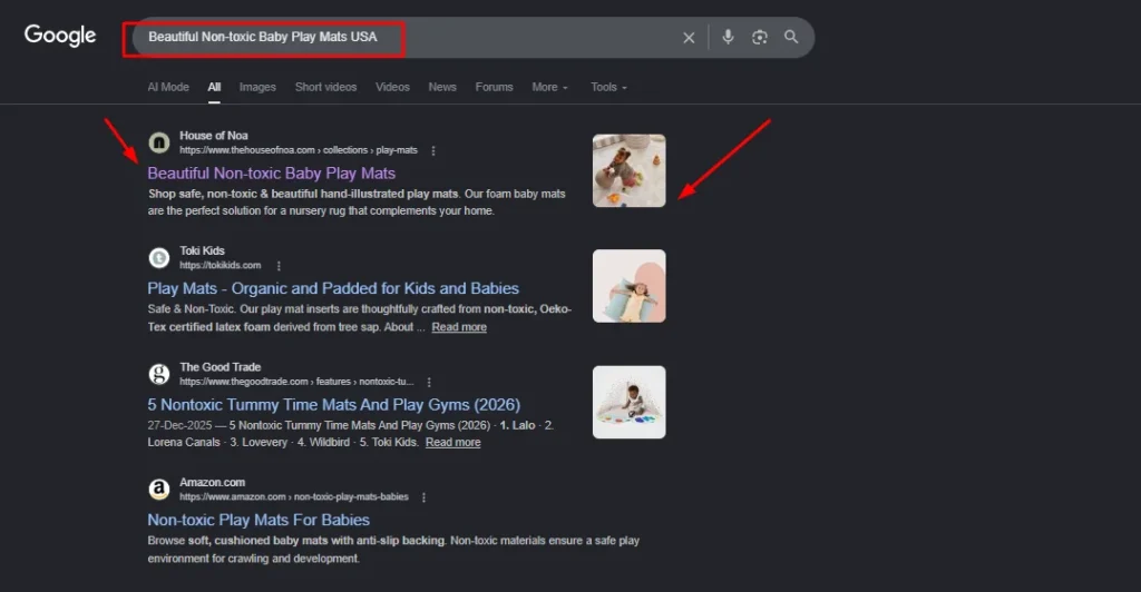 Google Search Results for "Beautiful Non-toxic Baby Play Mats USA" showing House of Noa ranked in the top position with a rich snippet image.